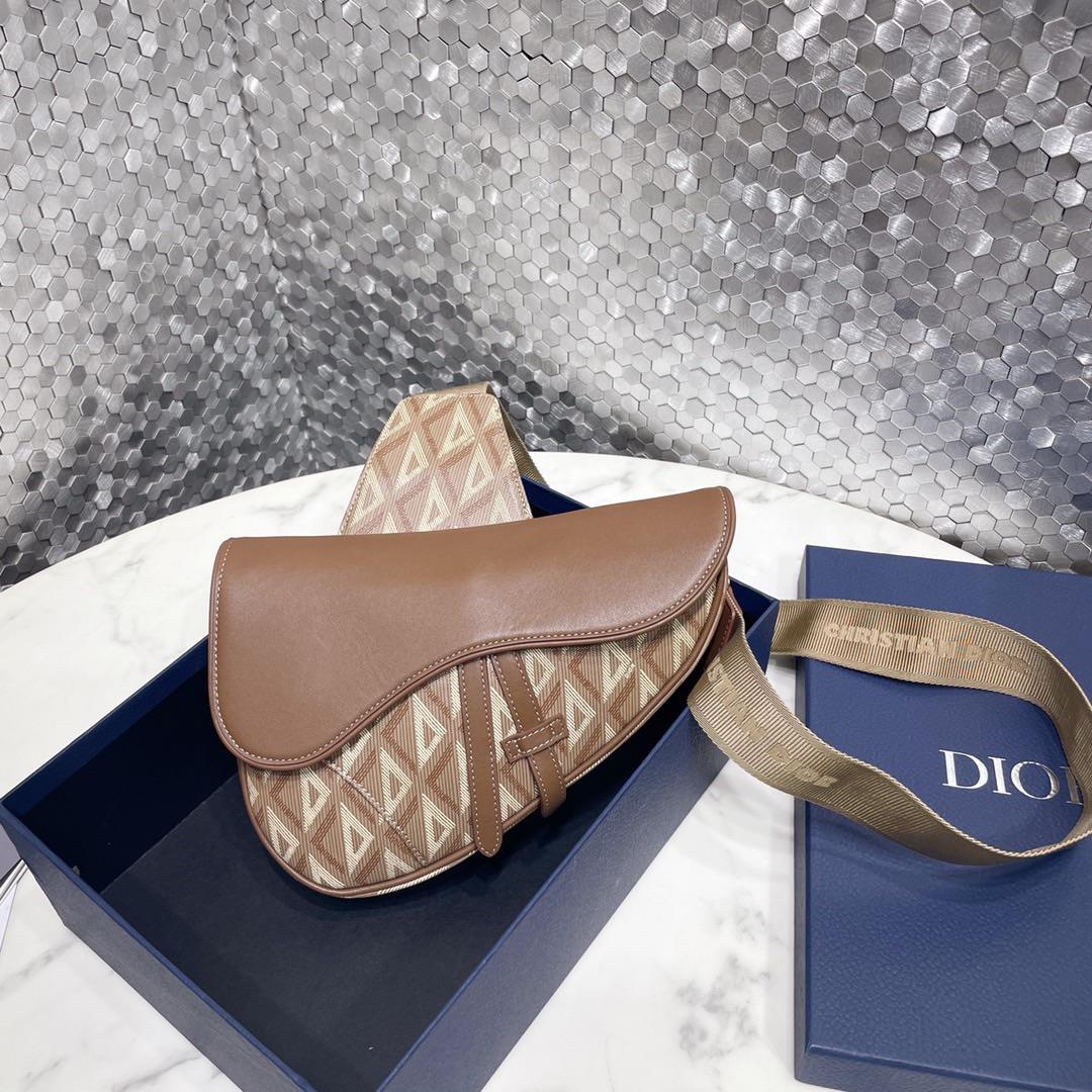 DIOR saddle bagThis saddle bag reinterprets the classic silhouette with canvas and is adorned with a