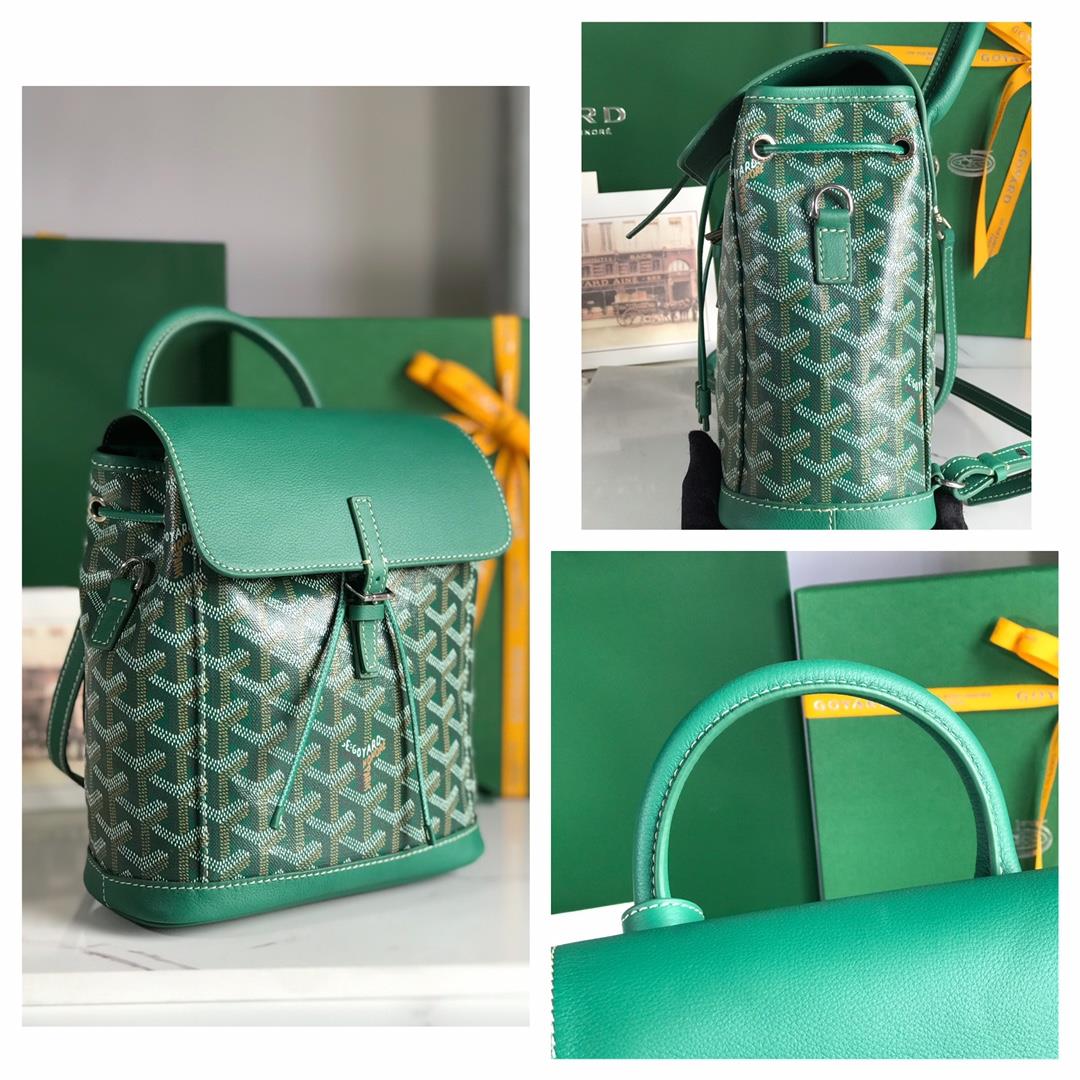 Goyard Alpin Mini Backpack Upgrade Delivery Original Gift Box Upgrade Instructions RibbonGoyar